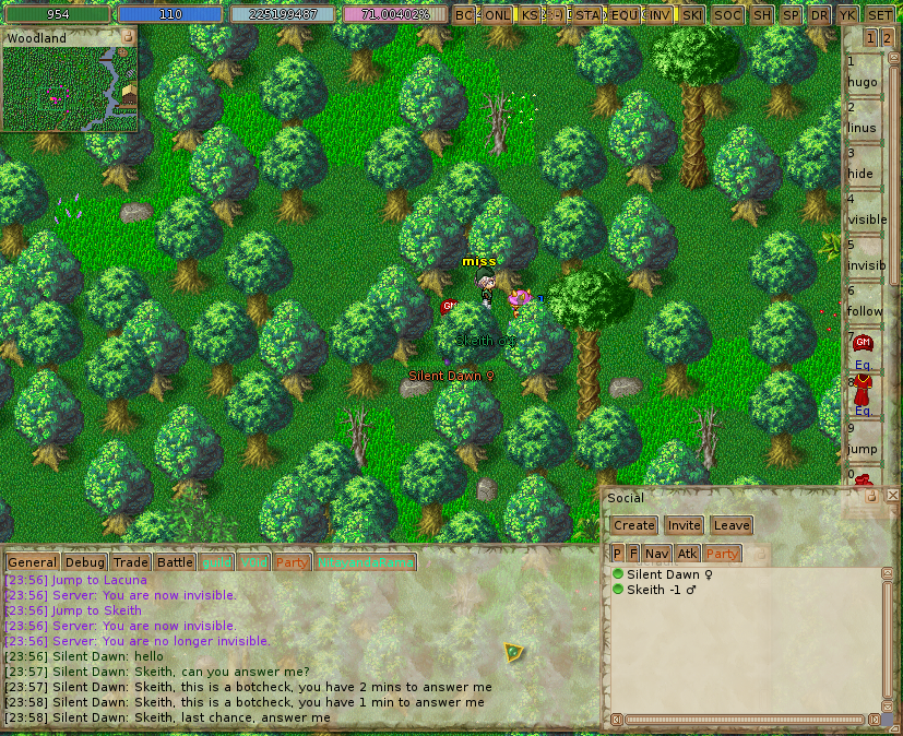 ManaPlus_Screenshot_187.png