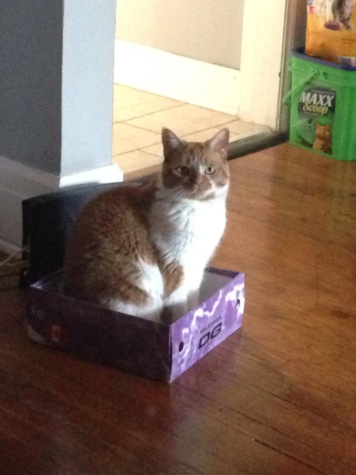 box.jpg