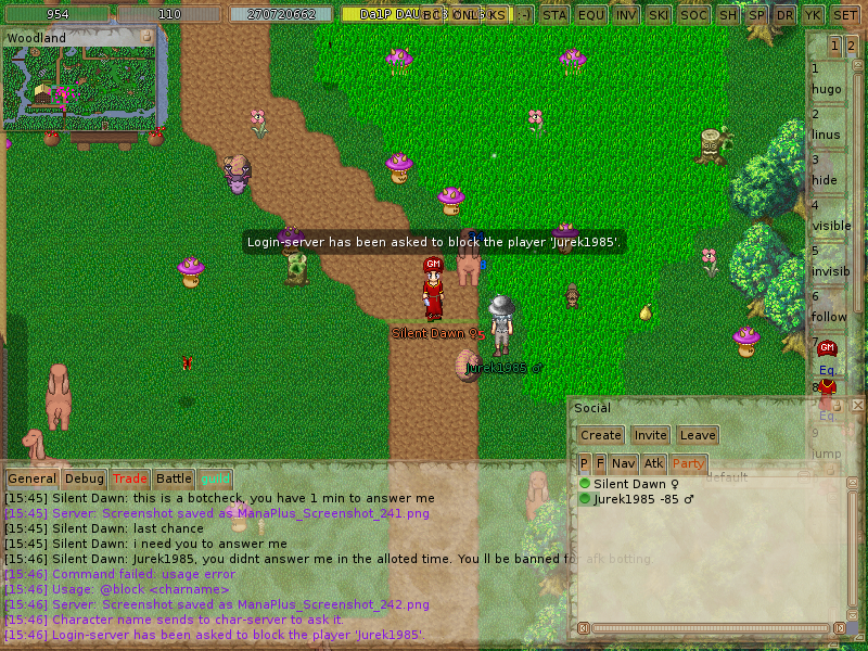 ManaPlus_Screenshot_243.png