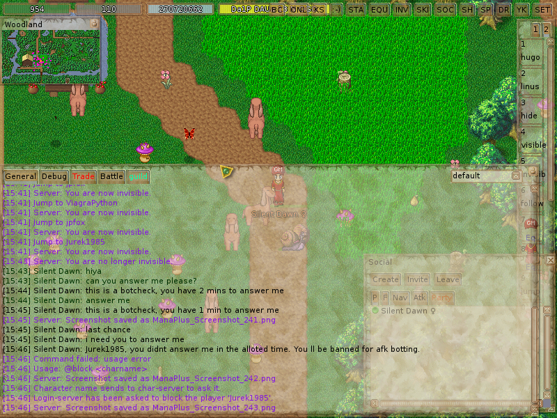 ManaPlus_Screenshot_244.png