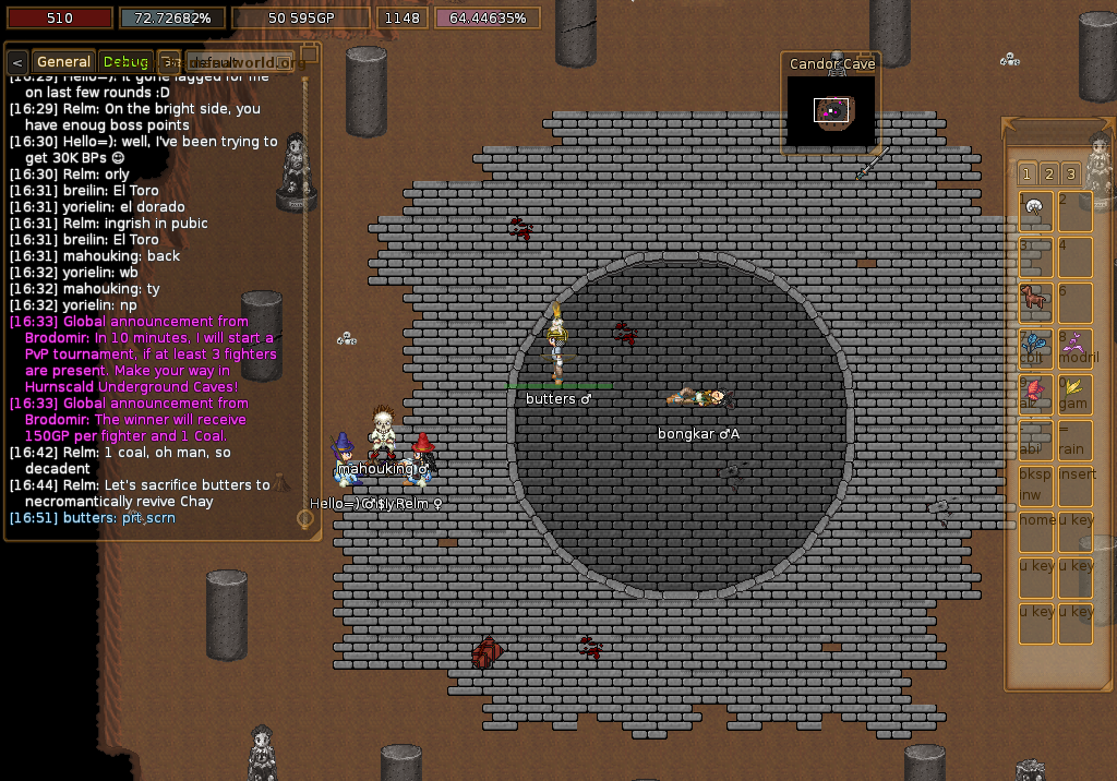 ManaPlus_Screenshot_server.themanaworld.org_2014-08-02_16-52-25_2.png