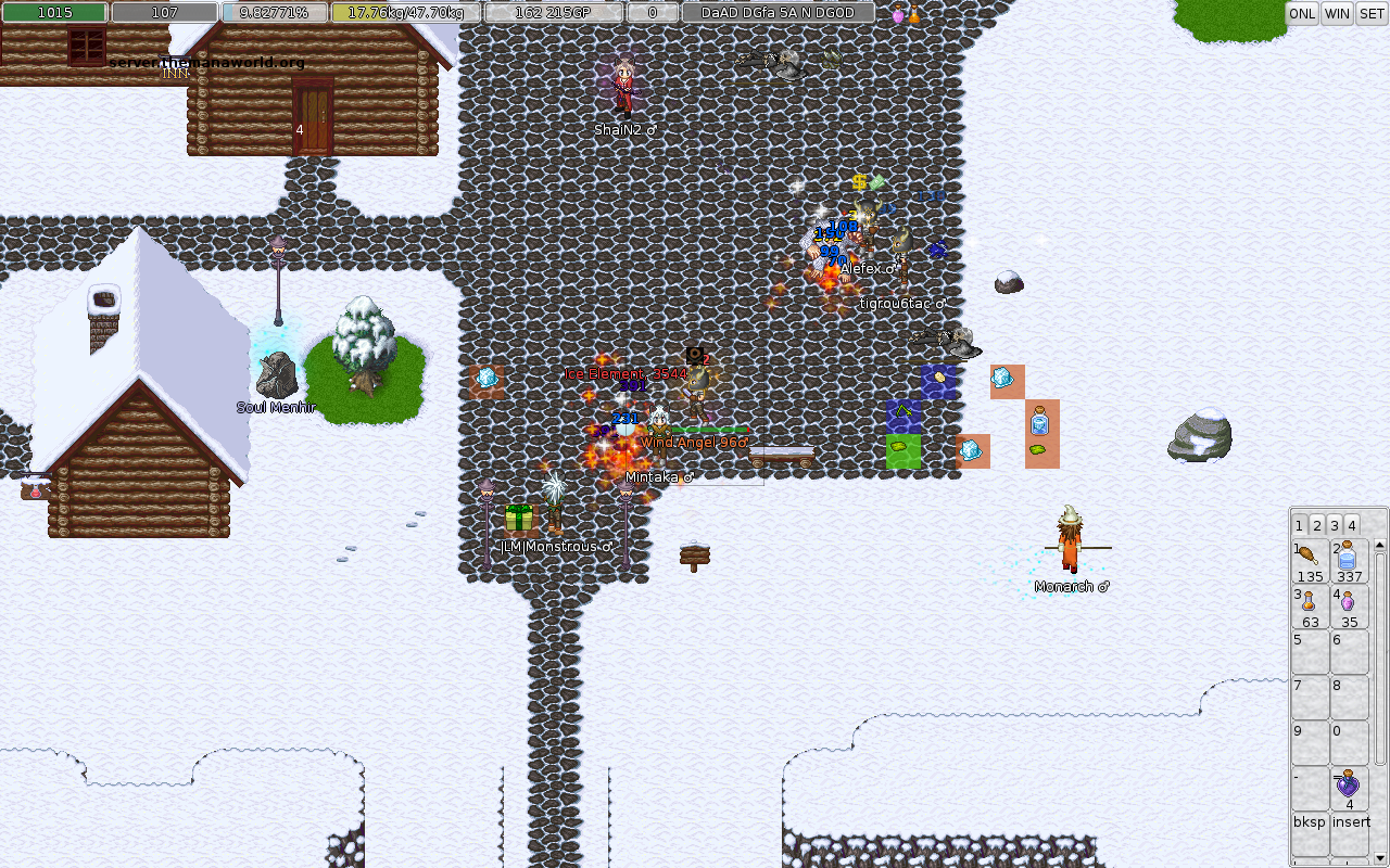 ManaPlus_Screenshot_server.themanaworld.org_2015-12-07_00-02-40_3.png