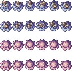 octopus.png