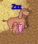 nursing-moubino-and-pinkie.gif