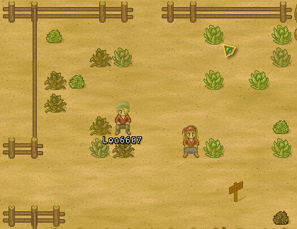 In the Desert-The Mana World.png