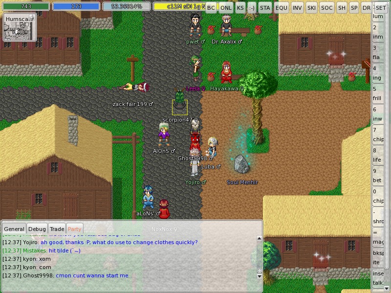 ManaPlus_Screenshot_14.jpg