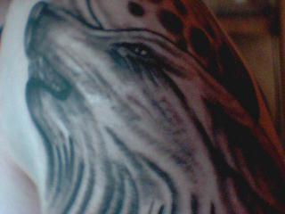 Up closer-ish