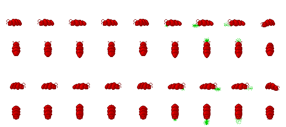 monster-larva.png