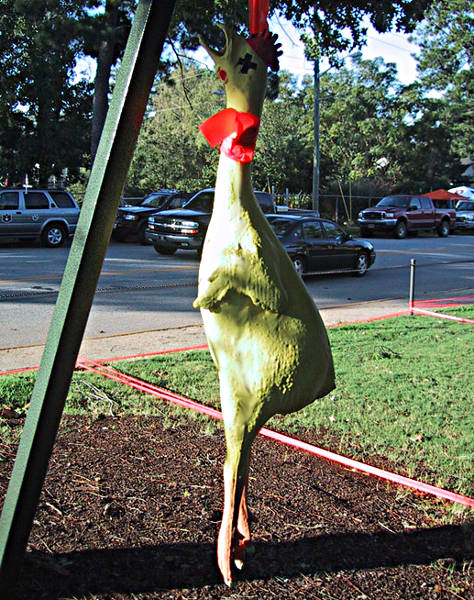 Roasted Rooster Pet of mine.jpg