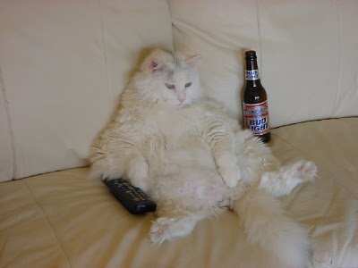 fluffy.jpg