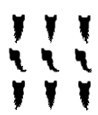 wraith-shodow-base.png