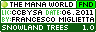 signature_snow_trees.png