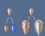 examples.png