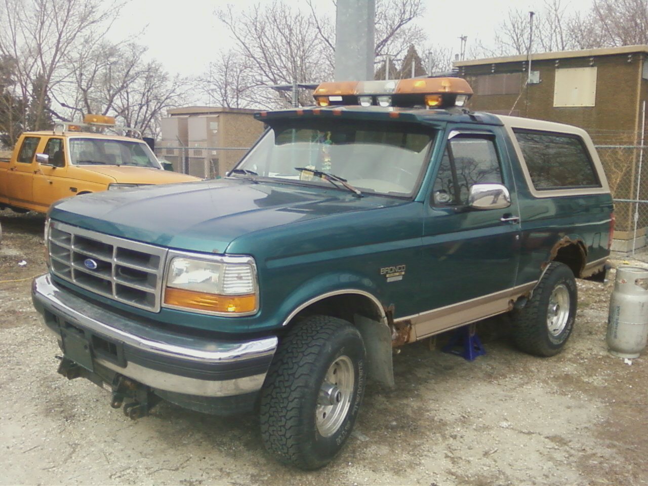 My Bronco.jpg
