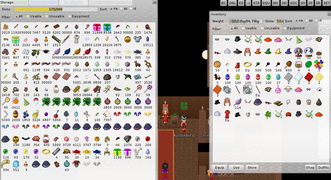 ManaPlus_Screenshot_34.jpg
